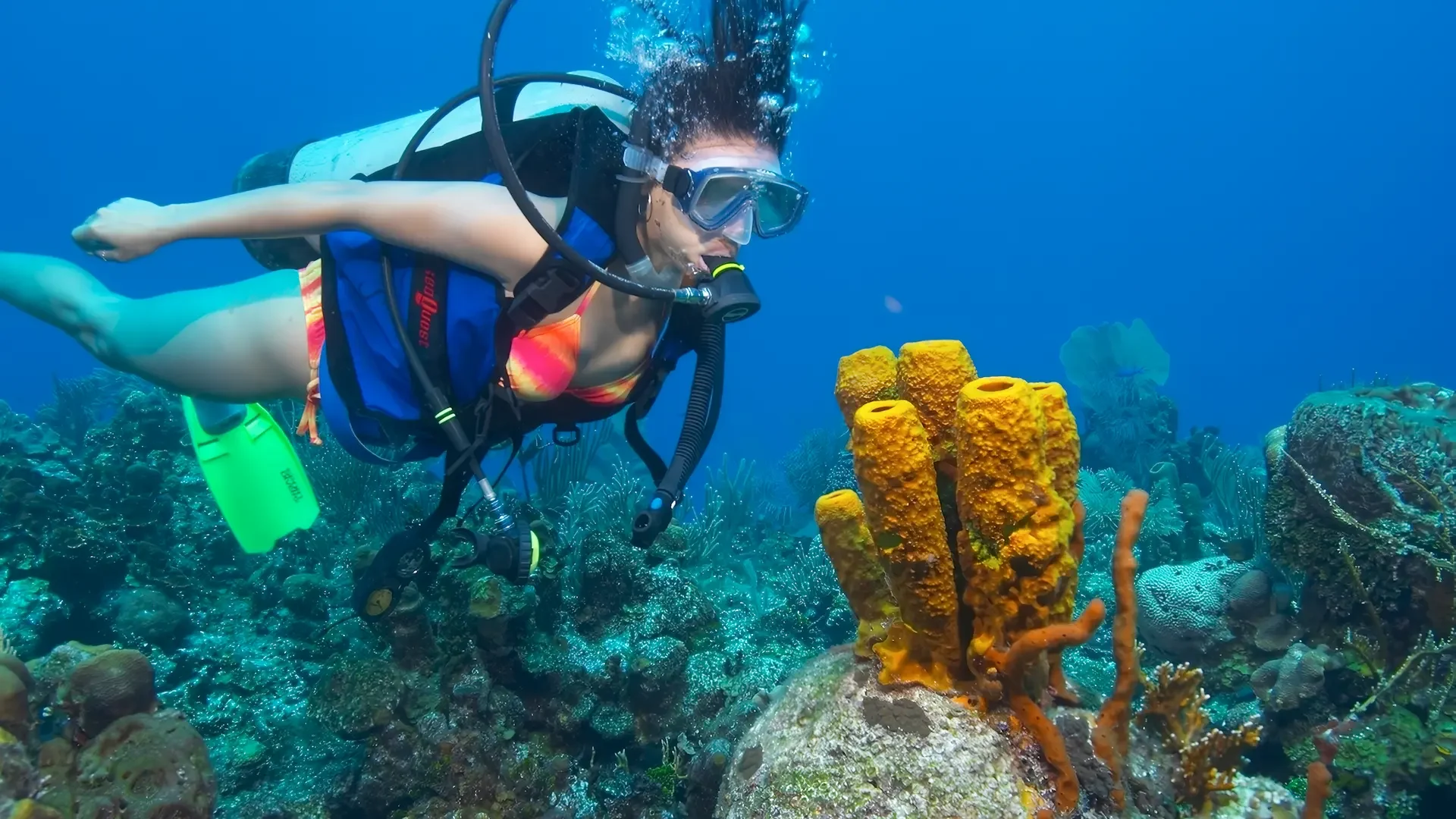 A female scuba diver in full gear swimming near a vibrant yellow coral reef in the clear waters of Sanur, Bali